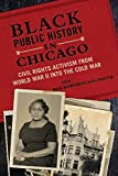 Black Public History in Chicago: Civil Rights Activism from World War II into the Cold War (New Black Studies Series)