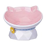 DOKITI Cat Food Bowl Elevated, Ceramic Raised Cat Food Bowl Protect Spine and Anti Vomiting, Pink Tilted Cat Food Bowl Anti Whisker Fatigue, Small