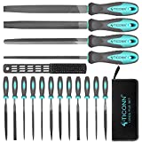 TICONN 17pcs File Set, Premium Grade T12 Drop Forged Alloy Steel File Sets with Carrying Case, Ergonomic Handle and Steel Brush