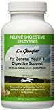 Dr. Goodpet Feline Digestive Enzymes