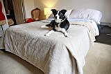 Pawsse Waterproof Dog Blanket for Bed, Pee Proof Pet Blankets for Couch Sofa Cover, Reversible Furniture Protector Sherpa Cushion Mat for Small Medium Large Dogs Puppy Cat, King Size
