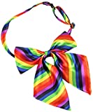 Flairs New York Women Handmade Pre-Tied Bowknot Bow Tie (Rainbow Pride [Silky])