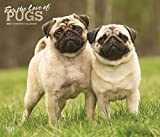 For the Love of Pugs 2021 14 x 12 Inch Monthly Deluxe Wall Calendar with Foil Stamped Cover, Animals Dog Breeds