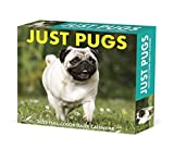 Pugs 2022 Box Calendar - Dog Breed Daily Desktop