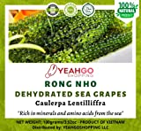 YEAHGOSHOPPING DRIED SEA GRAPES / SEAWEED / DEHYDRATED CAULERPA LENTILLIFERA 100% NATURAL (100gram/ 3.52 Oz)