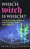 Which Witch Is Which?: A Concise Guide To Wiccan And Neo-pagan Paths And Traditions