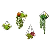 Isuesee Wall Planter with Artificial Plants, Succulent Wall Decor with Metal Geometric Hangers Fake Cactus Airplants Modern Himmeli Holder for Living Room Bedroom Dorm Wedding Decor Gift Idea