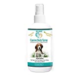 Big Mare Dog Body Spray | Clinically Proven Effective On Hotspots, Yeast, Dermatitis, Staph, Ringworm, Hair Loss, & More. Antibacterial & Antifungal | Veterinary Approved & Recommended. (8 oz)