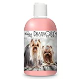 The Blissful Dog Drama Queen Luxury Dog Shampoo  Silky Dog Shampoo