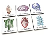 Personalized Medical Graduation set of 4 or 6 Coasters anatomy gift for doctor nurse practitioner physician assistant male