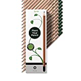 Sprout | Teacher's Edition | Graphite Plantable Pencils with Flower, Herb & Vegetable Seeds | Eco-Friendly Organic Wood | Prime Sustainable Gift for Teachers, Creative Kids & School Students | 32 Pack