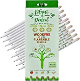 Plantable Graphite Pencils With Seeds HB 2 Extra Dark Made From Recycled Newspapers Eco Friendly 5 Assorted Seeds 10 Pack