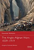 The Anglo-Afghan Wars 1839â€“1919 (Essential Histories)