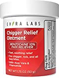 Evora Labs Chigger Ointment - Bug Bite Itch and Pain Relief Skin Care Cream with Aloe Vera and Benzocaine - 1.75 oz - Fast-Acting and Easy-To-Store