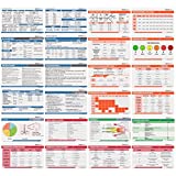 Scrubnotes - Medical Reference ID Badge Cards - 13 Card Set - Reference sheets for Doctors and Nurses