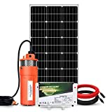 ECO-WORTHY Solar Well Pump Kit with Battery Backup, 12V Solar Water Pump + 100W Solar Panel Kit + 10Ah Battery for Well, Irrigation, Filling Water Tank-DELIVERY IN 2 PARCELS