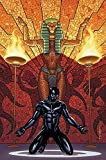 Black Panther Book 4: Avengers of the New World Book 1 (Black Panther, 4)