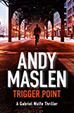 Trigger Point (The Gabriel Wolfe Thrillers Book 1)