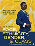 Race, Ethnicity, Gender, and Class: The Sociology of Group Conflict and Change