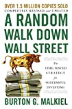 A Random Walk Down Wall Street: The Time-Tested Strategy for Successful Investing (Twelfth Edition)