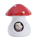 MouseBro Ceramic Hamster Hideout,Gerbil Hideout,Hamster House,Gerbil House with Forest Mushroom Shape for Dwarf Robo Syrian Hamsters Mice Rats or Other Small Animals