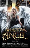 Shadow Angel: Book One