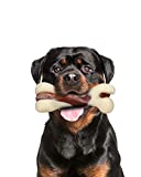 Tikaton Dog Chew Toys for Aggressive Chewers, Beef Flavor Durable Dog Teething Chew Toys Bones for Large/Medium/Small Puppies