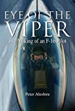 Eye of the Viper: The Making of an F-16 Pilot