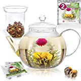 Teabloom Stovetop & Microwave Safe Teapot (40 OZ) with Removable Loose Tea Glass Infuser  Includes 2 Blooming Teas  2-in-1 Tea Kettle and Tea Maker