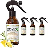 Air Wick Botanica Scented Room Spray, Fresh Pineapple and Tunisian Rosemary, Natural Ingredients, Essential Oils, Air Freshener, Non-Aerosol, 8 Fl Oz, 4 Count