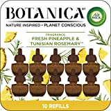 Air Wick Botanica Plug in Scented Essential Oil, Fresh Pineapple and Tunisian Rosemary, Air Freshener, Eco Friendly, Brown, 10 Count