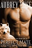 Perfect Mate (Book Two: A Werewolf BBW Shifter Romance)