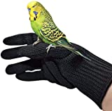 alfyng Bird Training Anti-Bite Gloves, Small Animal Handling Gloves, Chewing Protective Gloves for Small Animal Pet Squirrels Hamster Parrotlets Cockatiels Finch Macaw (1 Pair)
