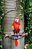 Ebros Patio Home Garden Hanging Scarlet Macaw Parrot Perching on Branch in Metal Round Ring Figurine Sculpture Nature Lovers Tropical Bird Collectors Decor 13.5" H