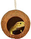 SunGrow Leopard Gecko Coco Hut, Gecko Climbing Accessories, Raw Coconut Shell Reptile Hide, Terrarium Habitat Dcor, 2.5 Opening Diameter, with Fiber Loop for Hanging (1-Hole)