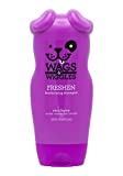 Wags & Wiggles Freshen Deodorizing Dog Shampoo in Very Berry Scent | Dog Grooming Shampoo For Smelly Dogs for Odor Control | Shampoo for Dogs, 16 Ounces