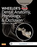 Wheeler's Dental Anatomy, Physiology and Occlusion: Expert Consult