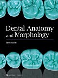 Dental Anatomy and Morphology