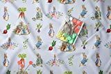 Peter Rabbit Fabric, Beatrix Potter Fabric, Fabric by The Yard Peter Rabbit, Face Mask Fabric, Fabric Baby Blankets, Cotton Fabric, Craft (1 Yard (36" x 58"))