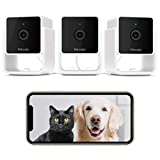 Petcube Pack of 3 Cam Pet Monitoring Camera with Built-in Vet Chat for Cats & Dogs, Security Camera with 1080p HD Video, Night Vision, Two-Way Audio, Magnet Mounting for Entire Home Surveillance