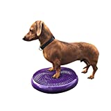 DEZAL Dog Balance Disc Cushion 14" -35cm - Dog rehab Exercise Strength Endurance Conditioning Fitness Flexibility Neural stimulation Rehabilitation Physical Training Tool for Senior Dogs - with pump