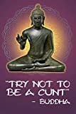 Try Not To Be A Cunt - Buddha: 108-page Funny Swear Word Journal, Inspirational Profanity Sarcasm Humor Notebook For Adults