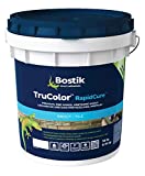 Bostik TruColor RapidCure Grout (9lbs, H152 White)