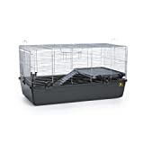 Prevue Pet Products 528 Universal Small Animal Home, Dark Gray,CAGE