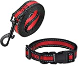 Mile High Life | Reflective Dog Collar Leash Set | Small Dog Collar Leash Set | Medium Dog Collar Leash Set | Adjustable Collar Leash Set (Red2, Small Neck 11"-15" -20 lb)