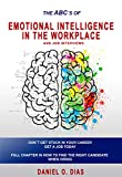 Emotional Intelligence in the Workplace : & Job interviews