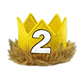 Dartsz Wild One 2nd Birthday Crown Hat,Baby 2 Years Old Birthday Tiara Headband for Kids Boys Girls Birthday Party Photo Props (2nd birthday hat), Yellow, 27x7cm