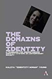 The Domains of Identity: A Framework for Understanding Identity Systems in Contemporary Society (Anthem Ethics of Personal Data Collection)