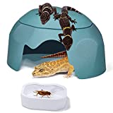 Fischuel Reptile Hides Humidification Cave Help Your Pets Shedding, A Damp Hideout with Natural Rock designto, Suitable for Bearded Dragons Lizards Leopard Gecko Spiders Turtles and SnakesBlue