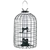 Audubon Squirrel Proof Caged Tube Feeder